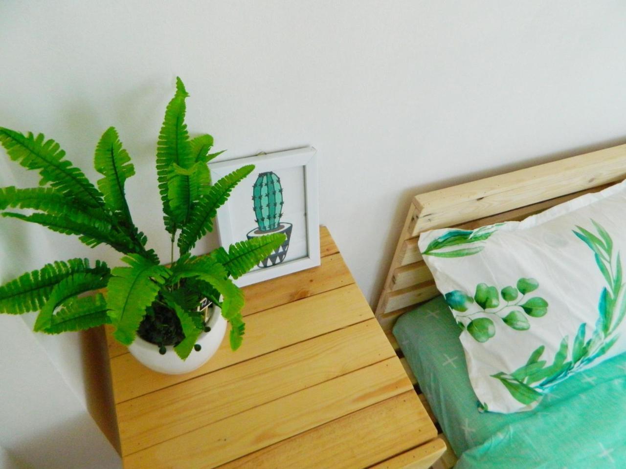 Homestay Trop Home Đà Nẵng Kültér fotó